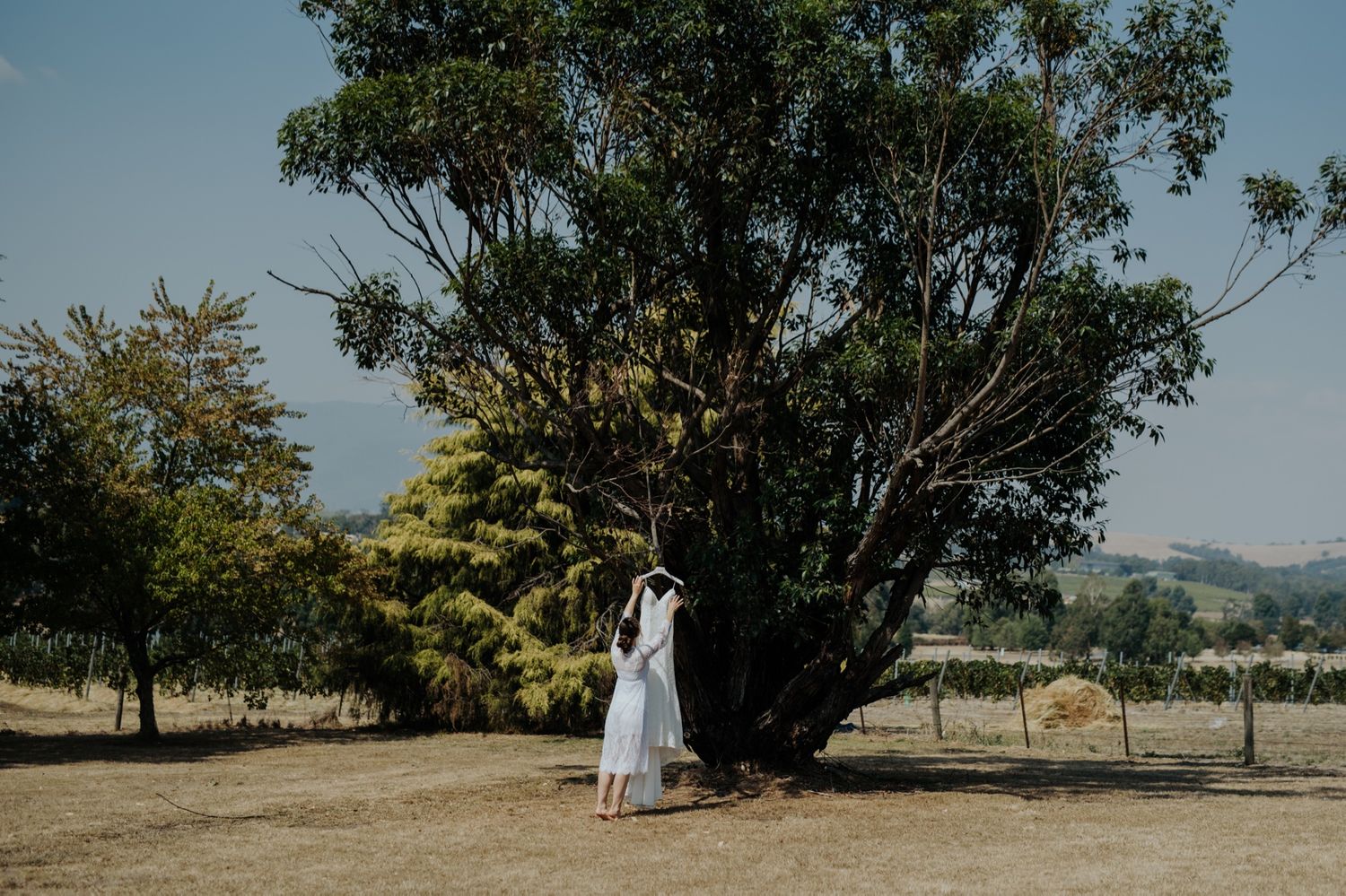 immerse at the yarra valley wedding