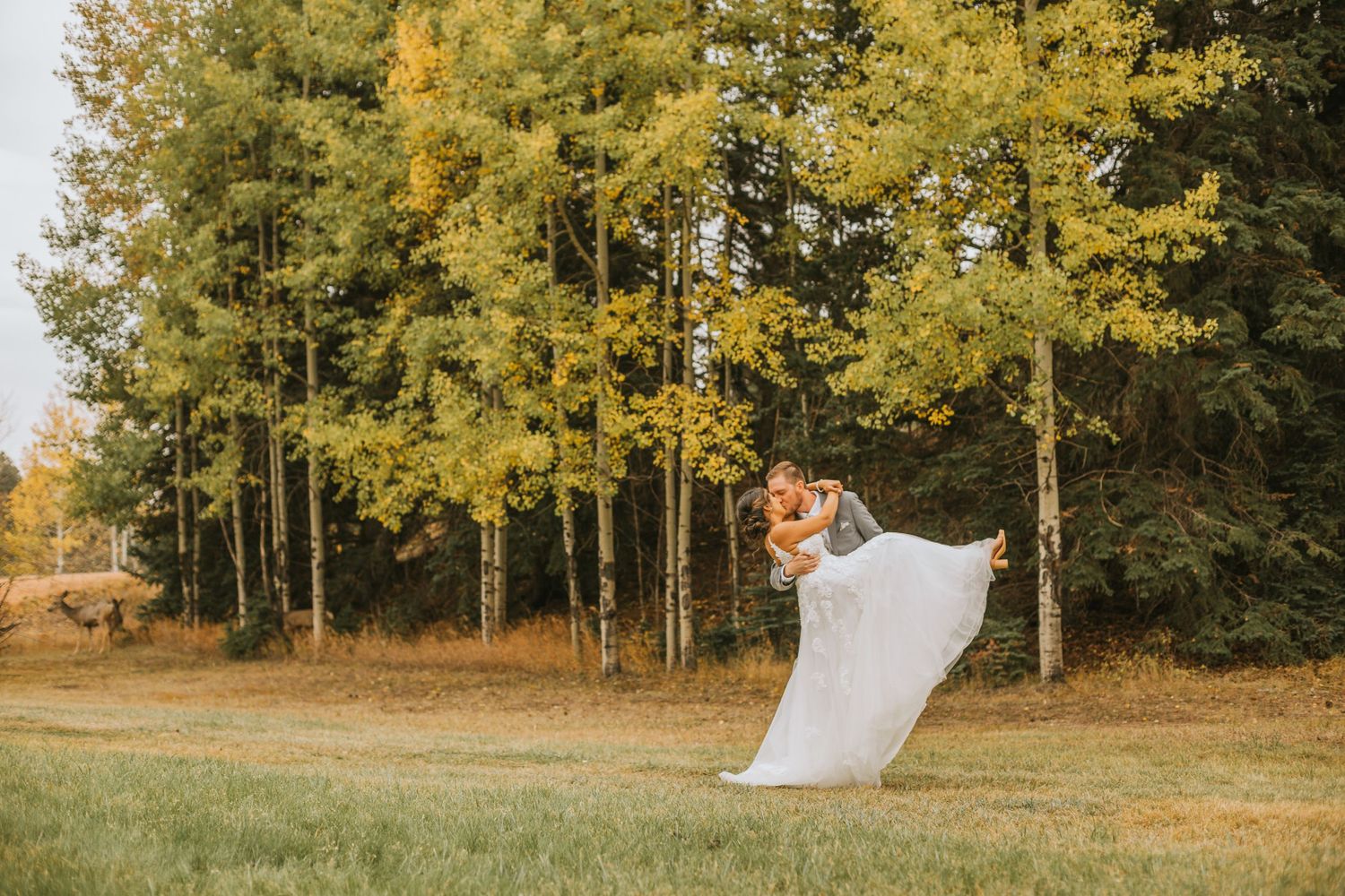 A bride and groom kiss during their Colorado Mountain Wedding at Wedgewood Weddings in Bailey, Colorado.