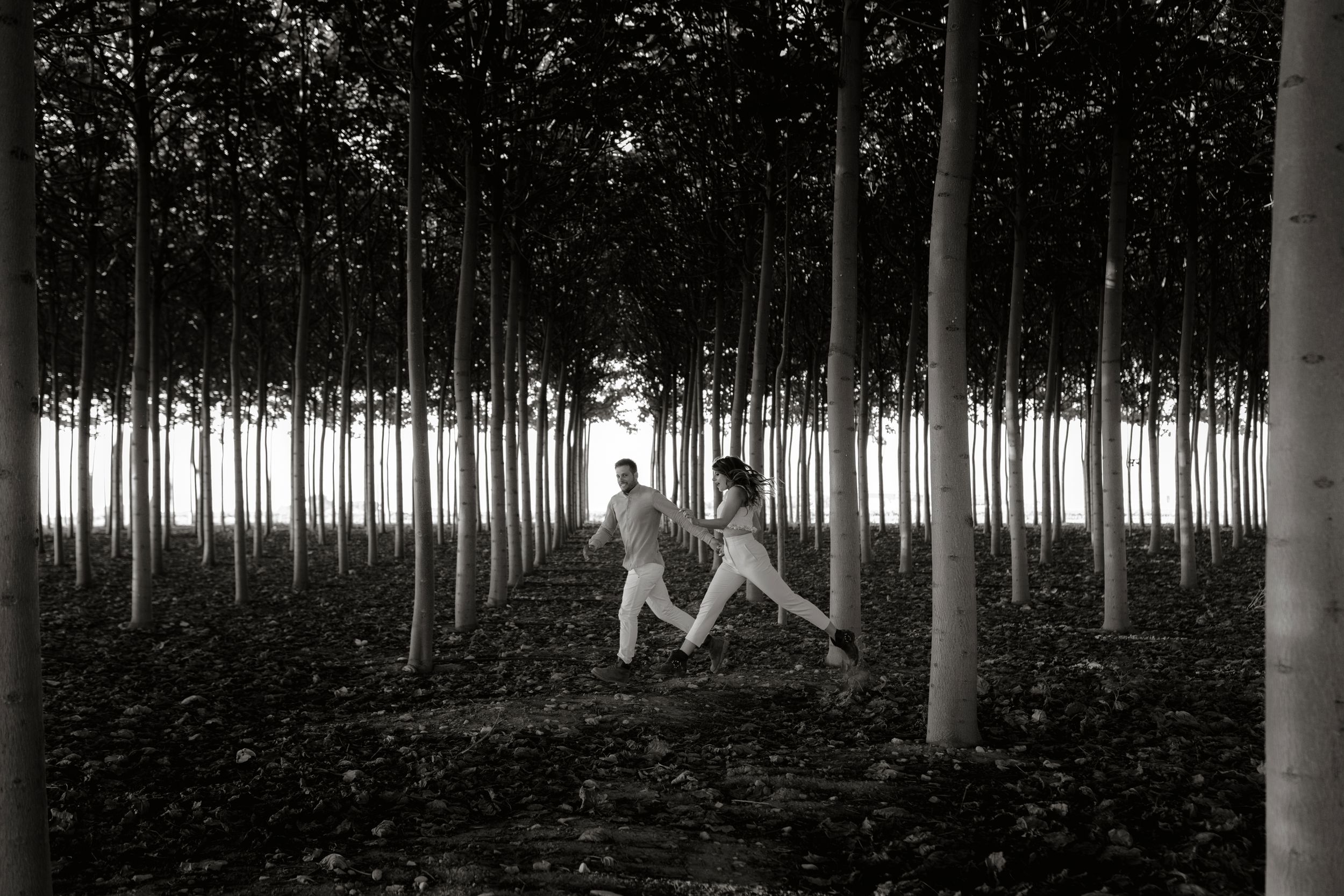 Puglia - couple - prematrimoniale - sessione di coppia - natura - bosco - piantagione di Paulonia - wedding photographer
