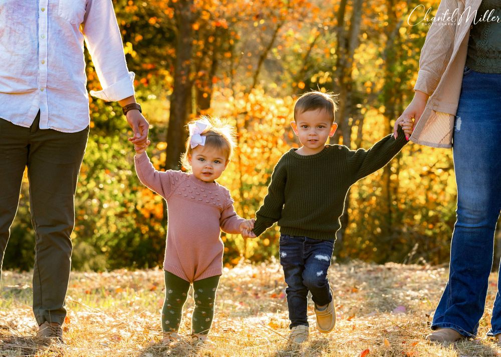 siblings and parents holding hands