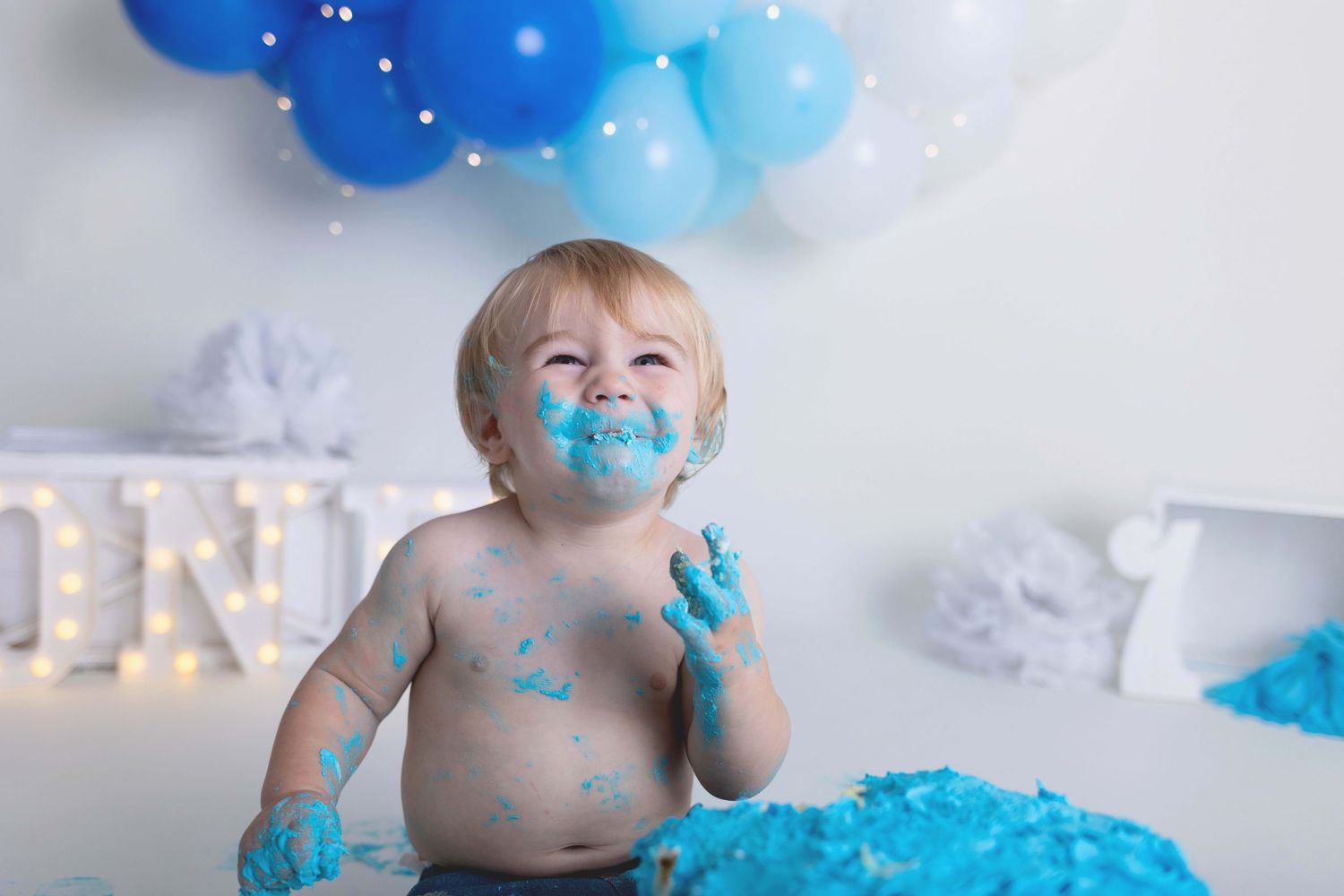 Cakesmash Photographer, Waukesha, Hartland, Milwaukee, Sussex, WI