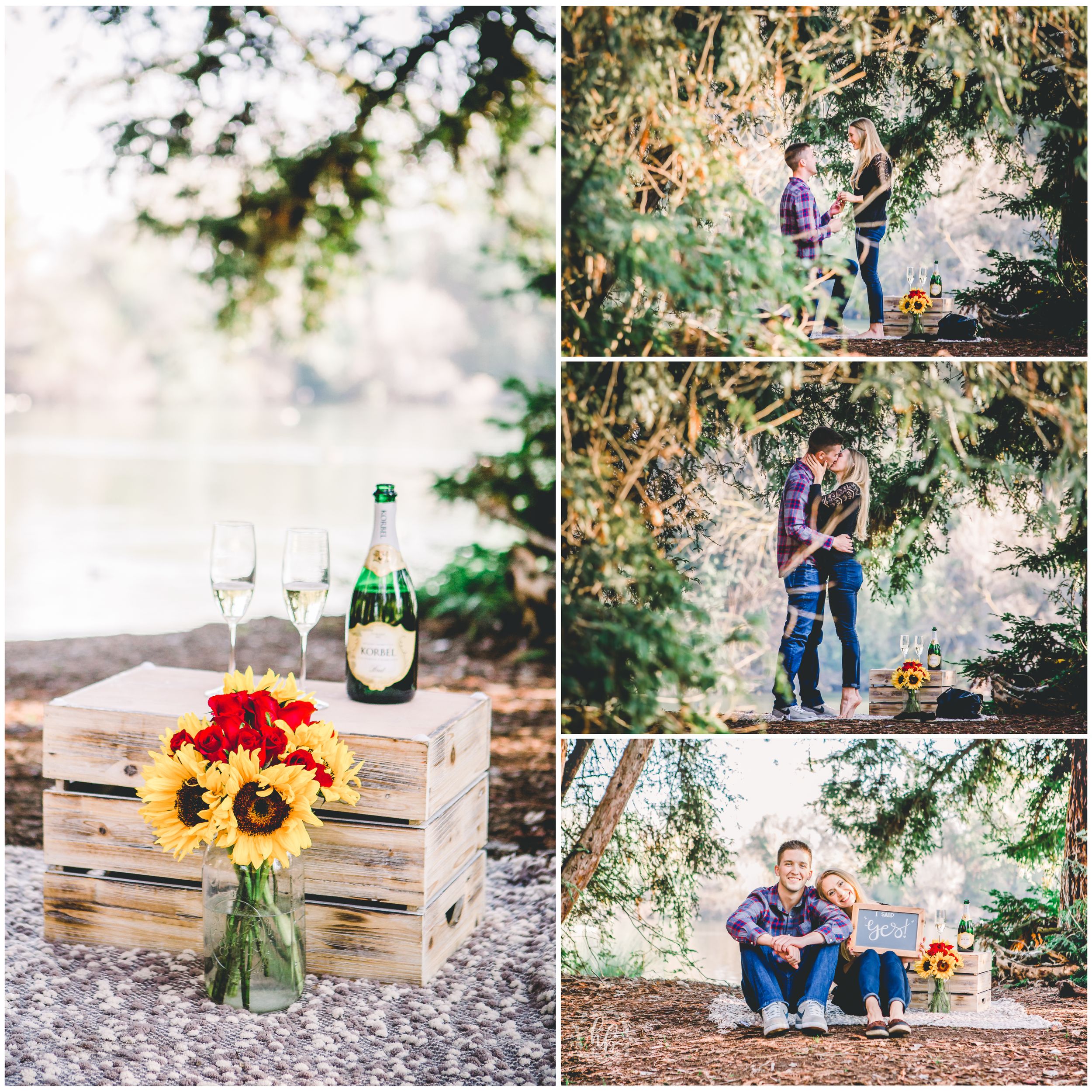 lakeside proposal engagement photos