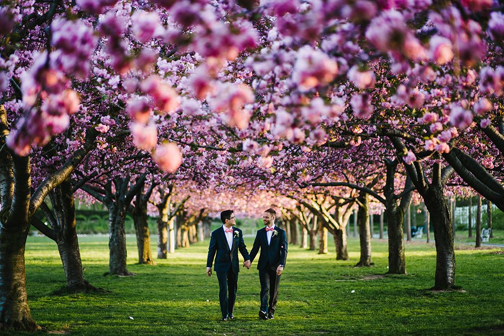 brooklyn botanical garden - wedding photos
