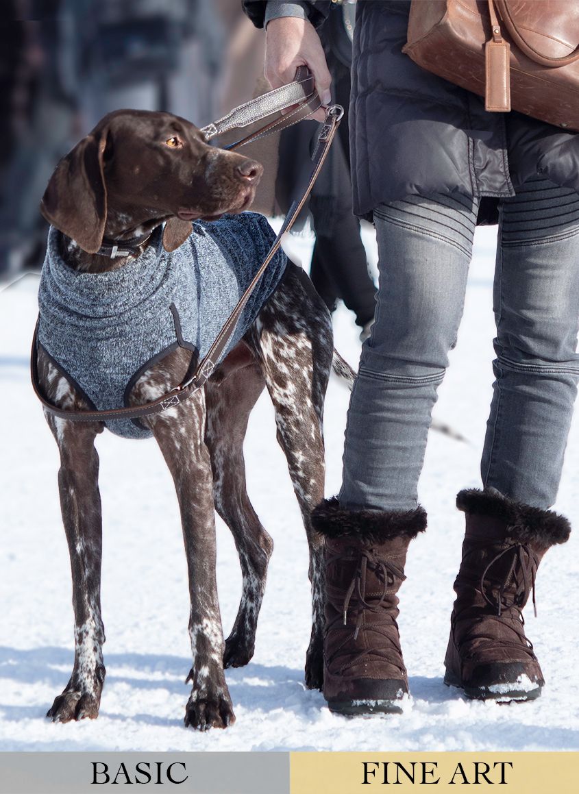 Brown and White Hound Dog and Owner Standing in the Snow by Zurich Photographer Leslie Argote