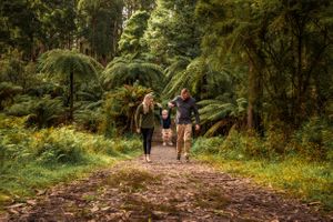 Parents swinging toddler between them on path in forest in Melbourne