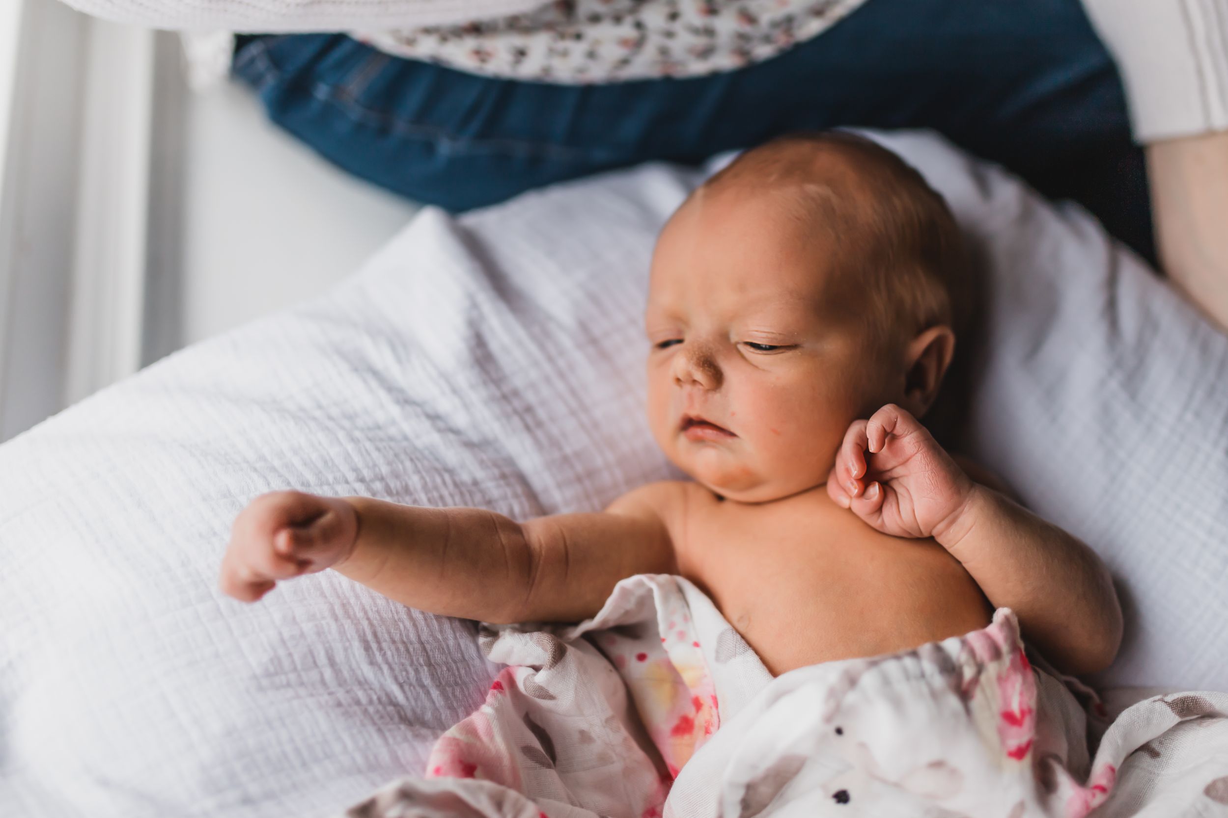 newborn photography southern pines