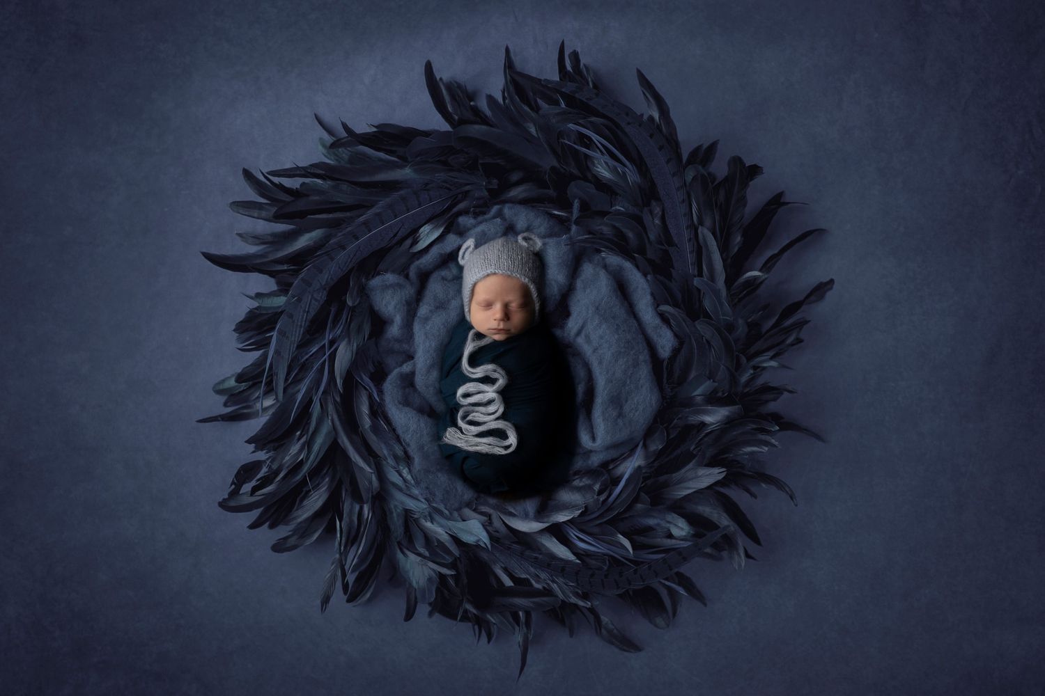 Tampa, FL Maternity & Newborn Portrait Photographer