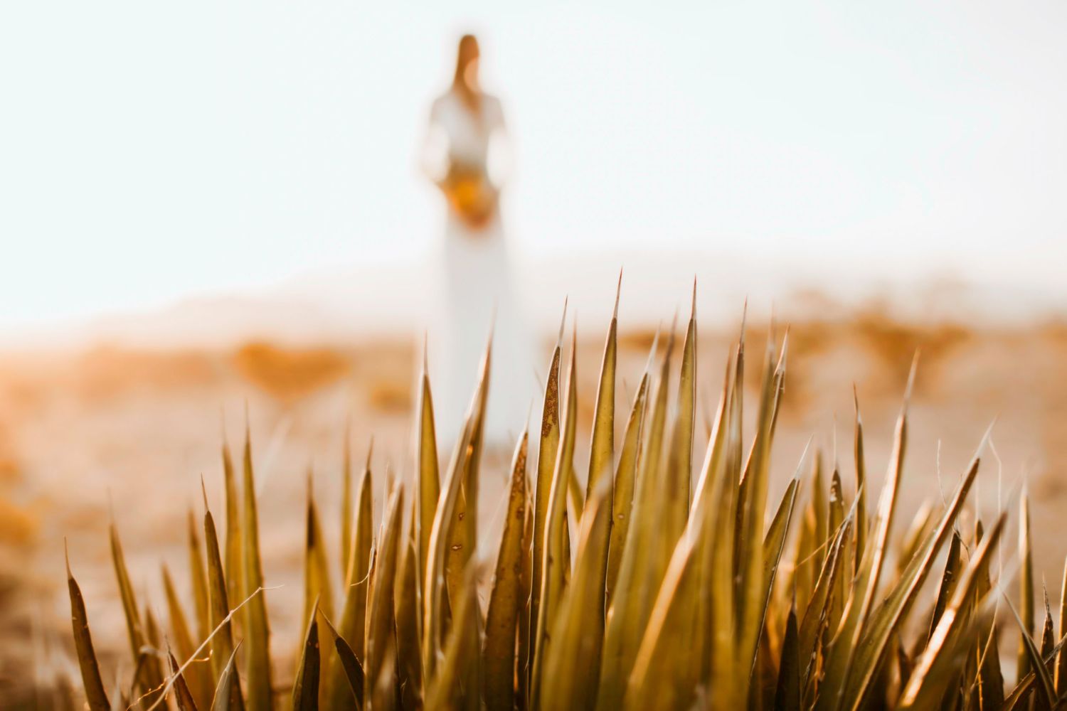 Bridal Portraits at Santa Elena Canyon in Big Bend by Cali Layton Photography, a Texas Wedding Photographer.