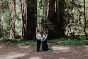 Santa Cruz maternity photographer, Santa Cruz engagement photographer, Henry Cowell photoshoot