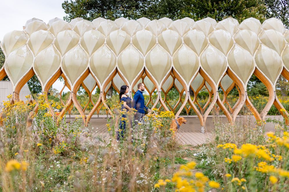 parents to be walking with dog by honeycomb installation Chicago family lifestyle session