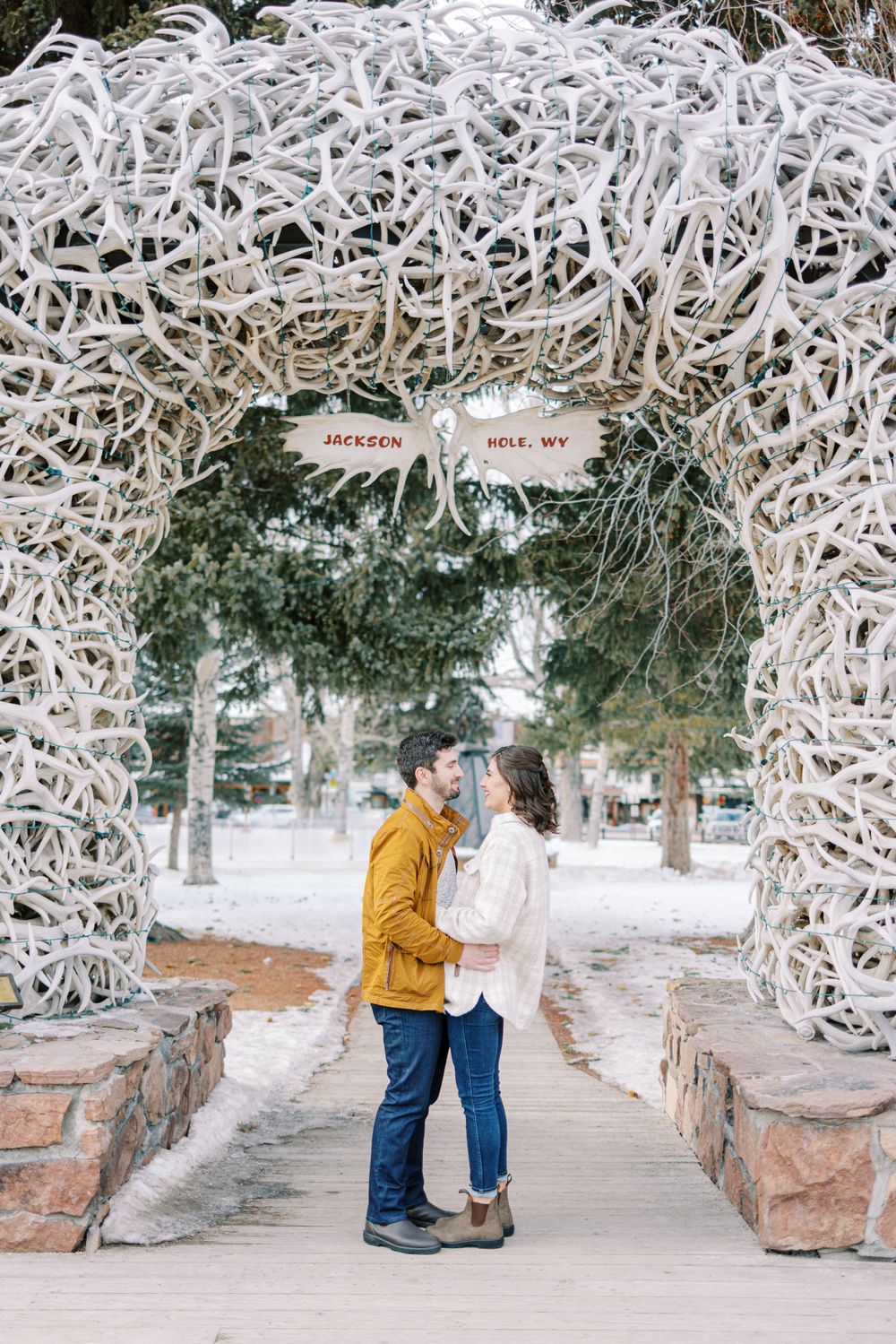 Jackson Hole grand teton national park engagement session