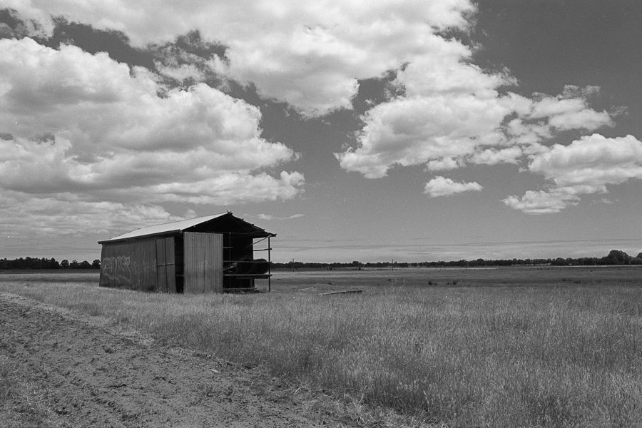 Nikon FE, Voigtlander 40mm Ultron, Orange filter