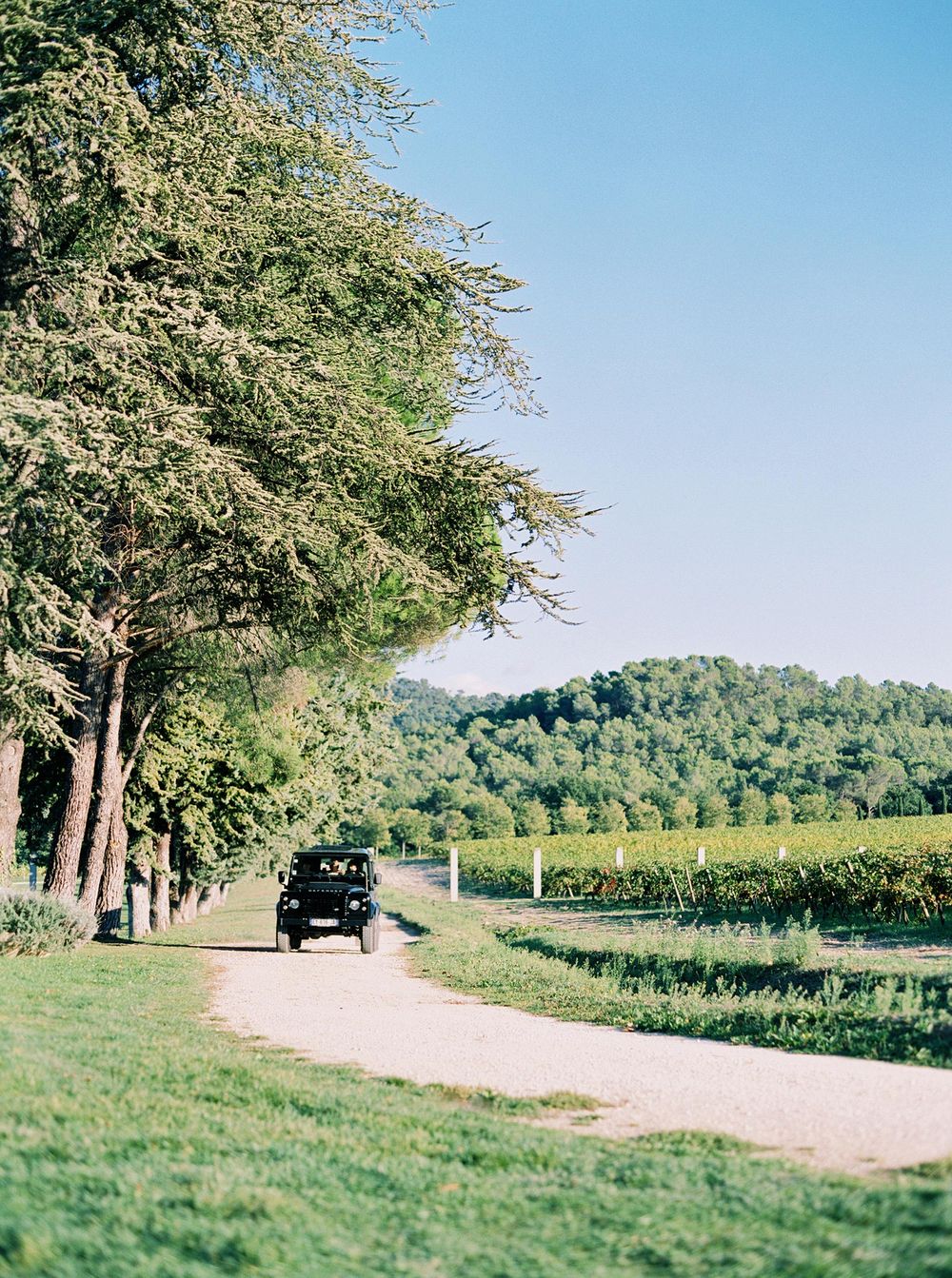 A black Range Rover vintage arriving with the bride near a vineyard, with beautiful green vines in the background.