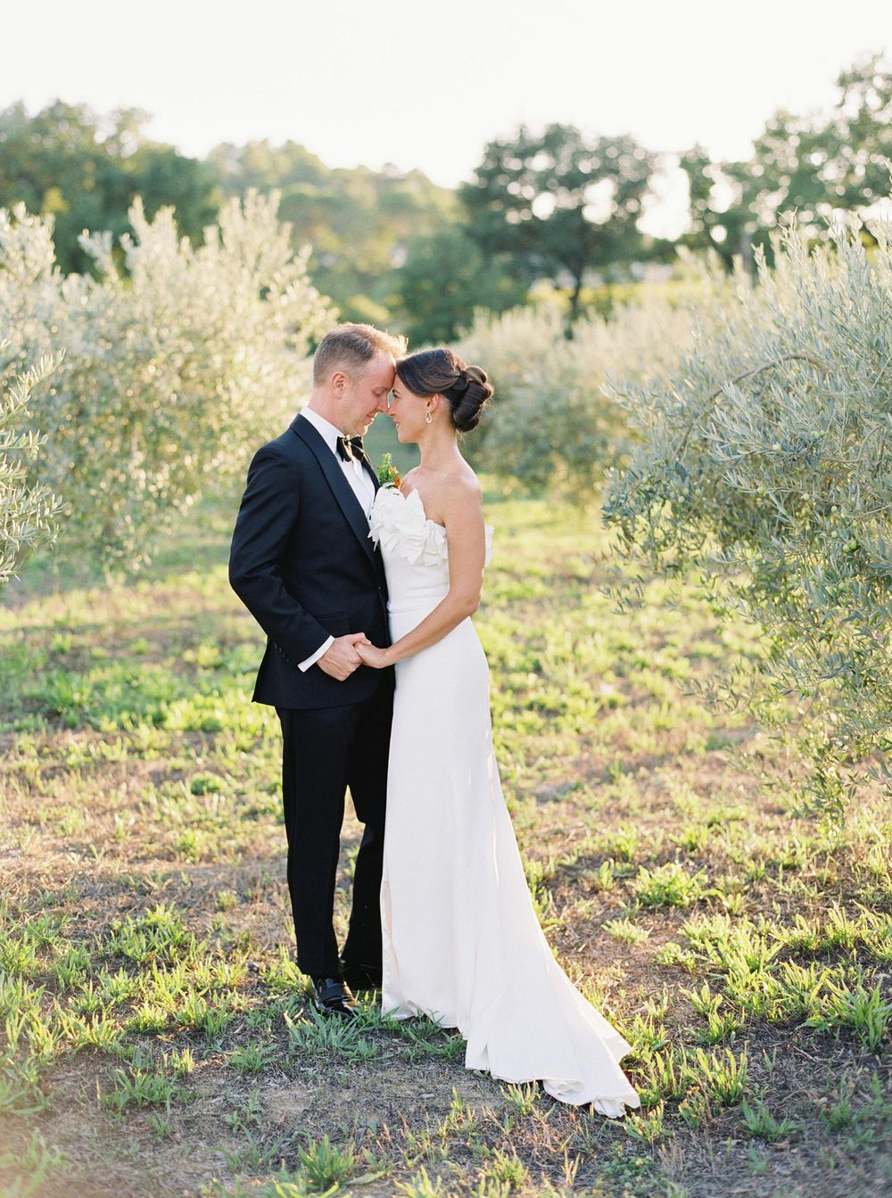 Romantic wedding photo shoot amidst olive trees at Château La Coste, Provence.