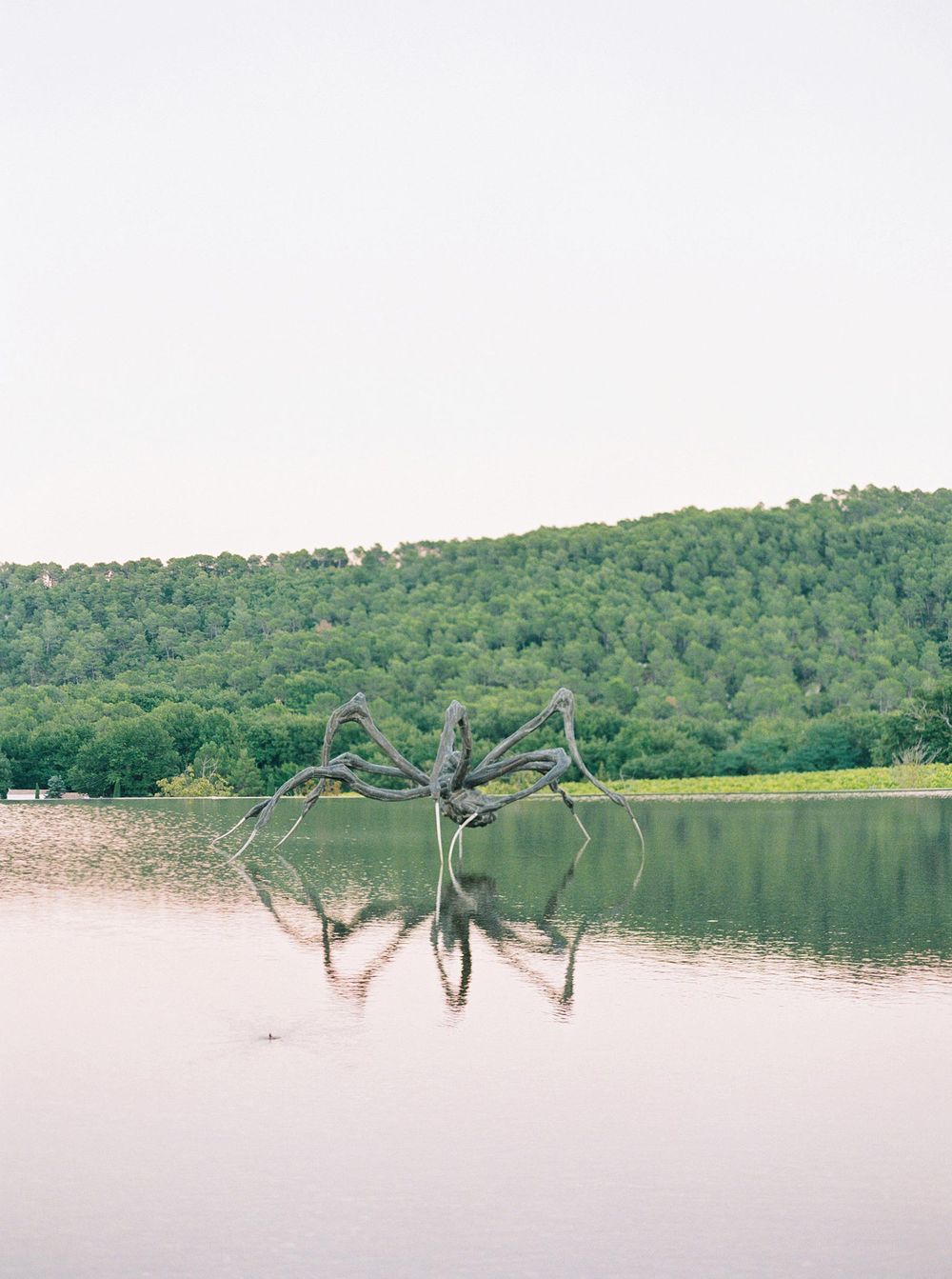 A giant spider sculpture stands in the center of a serene lake, showcasing its intricate design.