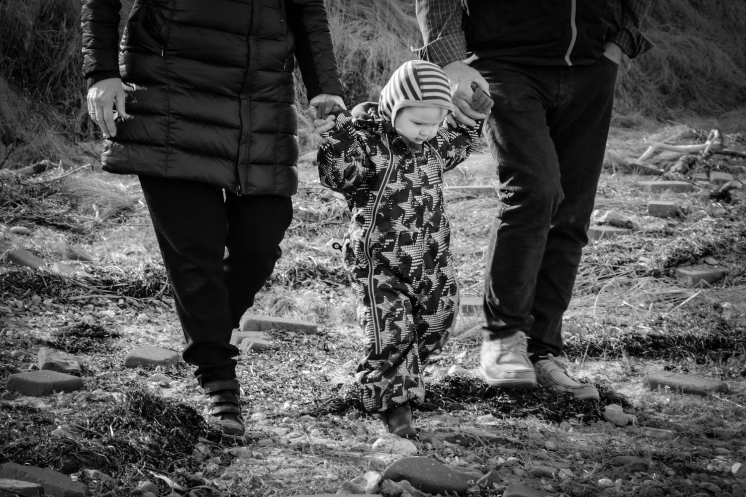 Baby girl walking, holding grandparents' hands. Walking on the beach, exporing and in her own little world.