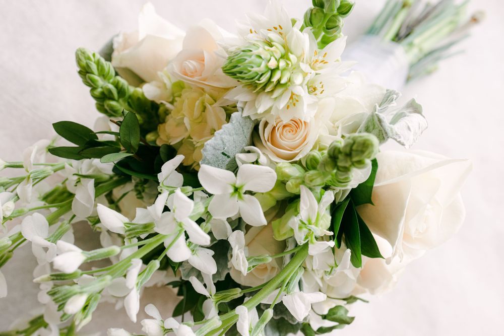 Jackson Hole wedding photographer