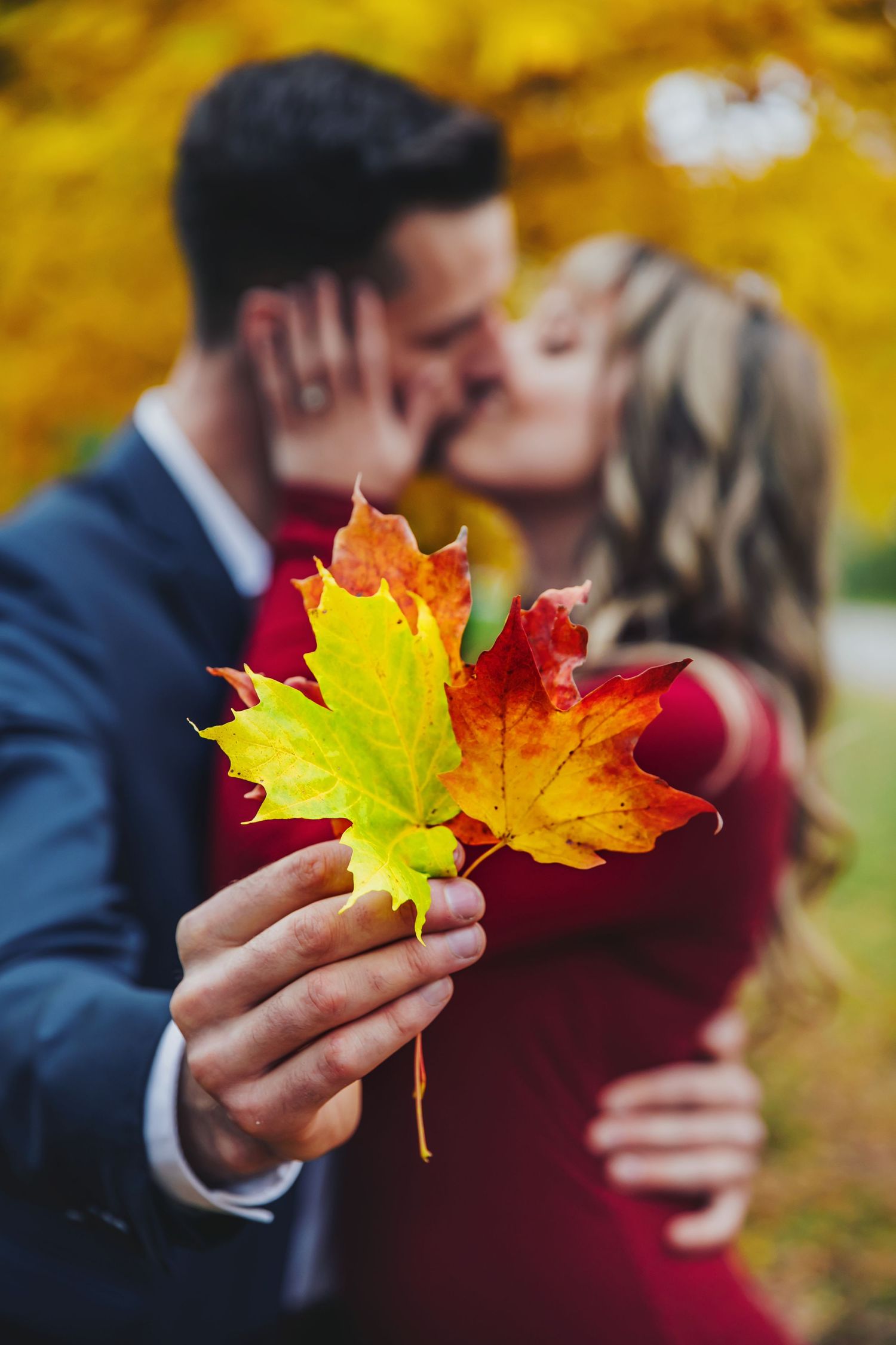 Fall engagement photos at Fanshawe Conservation Area London Ontario by photographer Shawn Van Daele