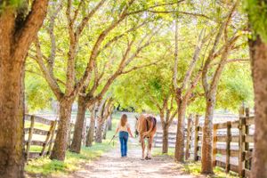 Austin horse photography Texas