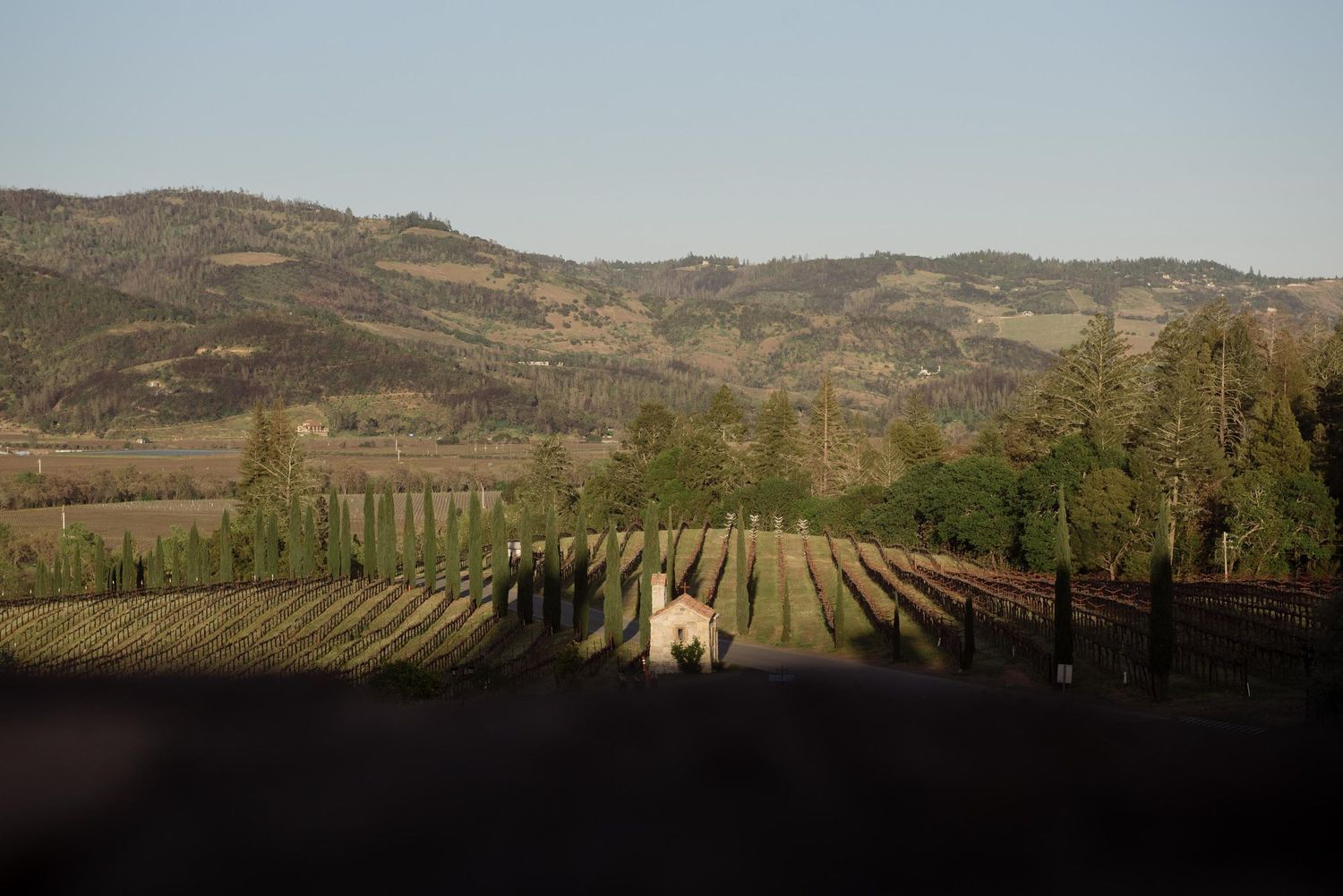 A Destination Indian Wedding Weekend in Napa Valley