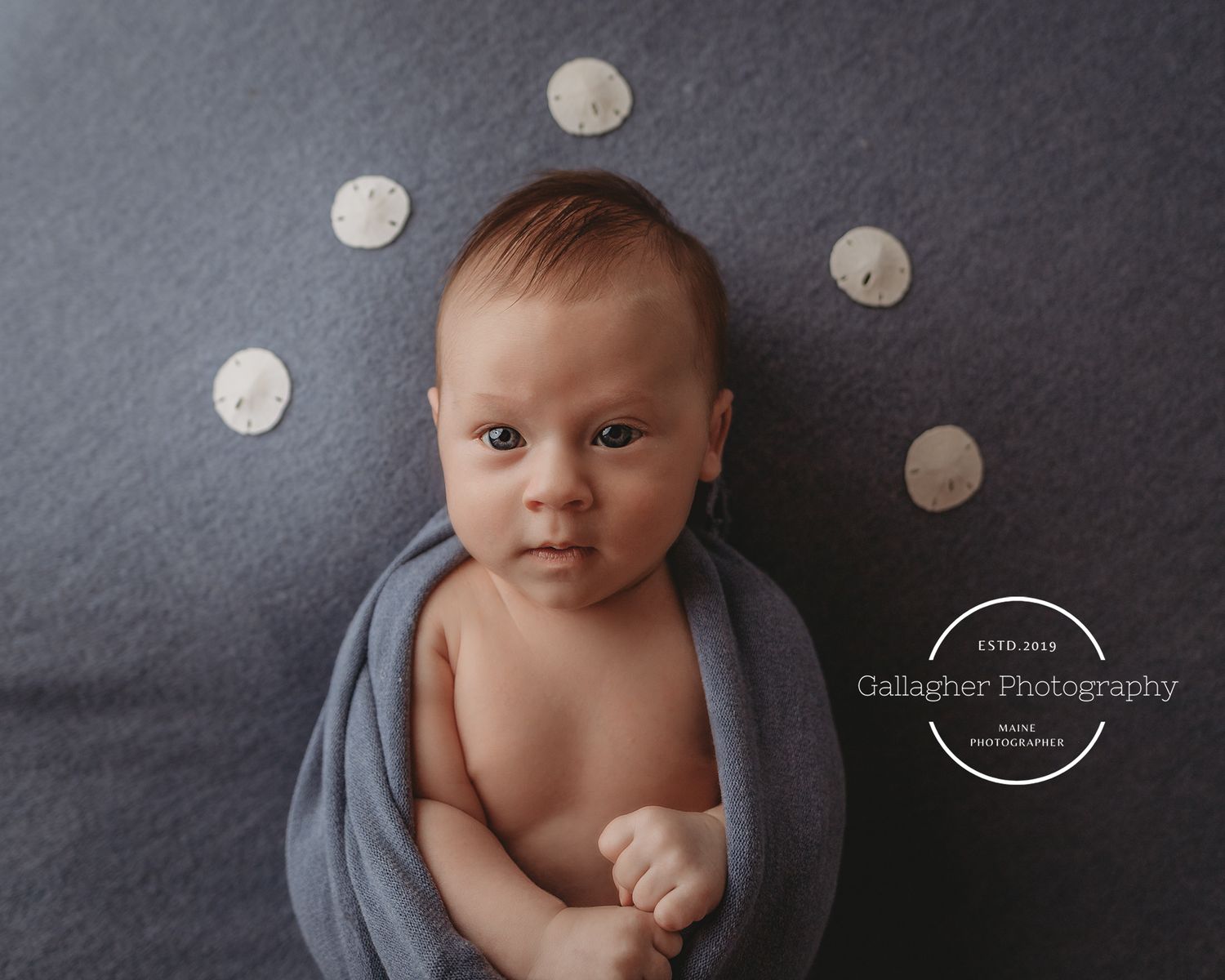 Professional newborn photo