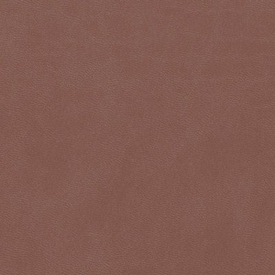 brown cloud leatherette colour swatch