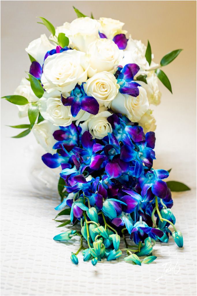 Stunning bridal bouquet with white roses and blue-purple orchids in cascading design.