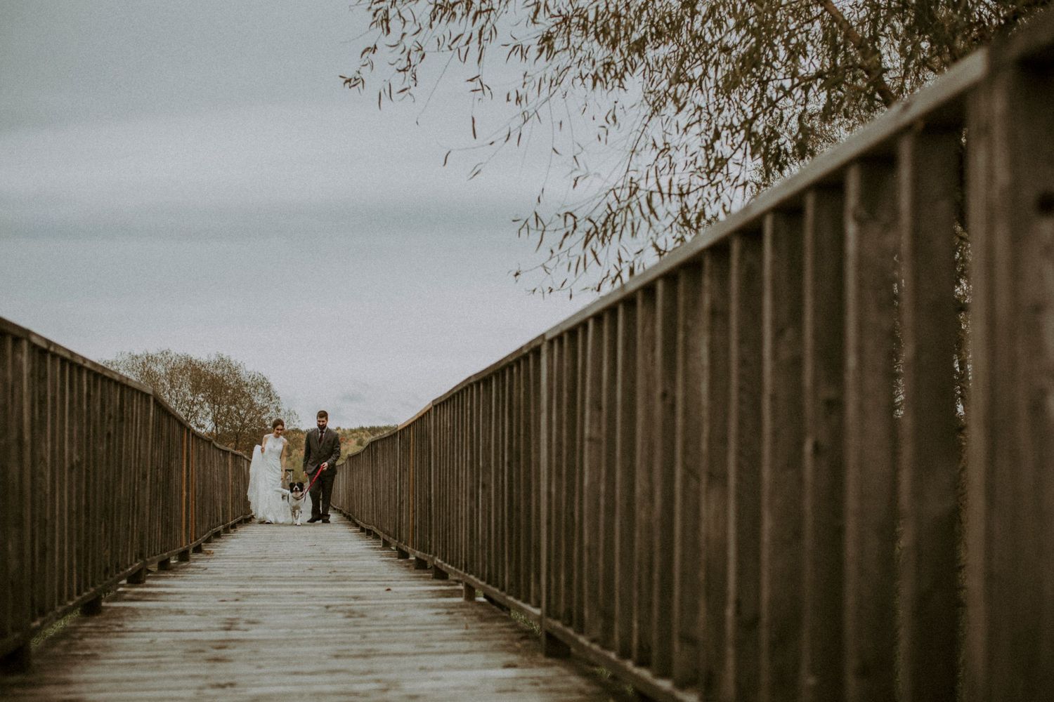 bride, groom and their dog walking together during their elopement in nicolet, quebec, canada