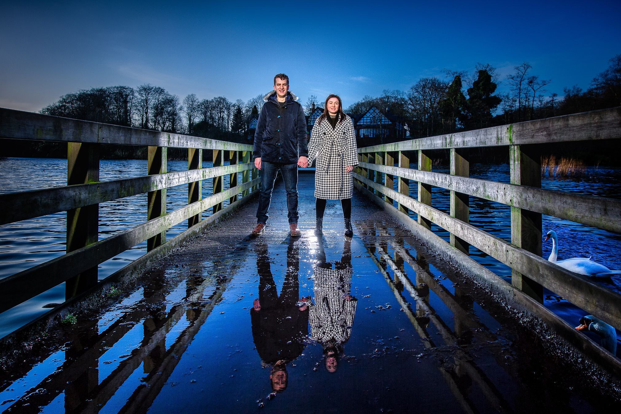Egaged couple stand on a bridge over a lake reflected in a puddle and watched by swans in Worsely Manchester