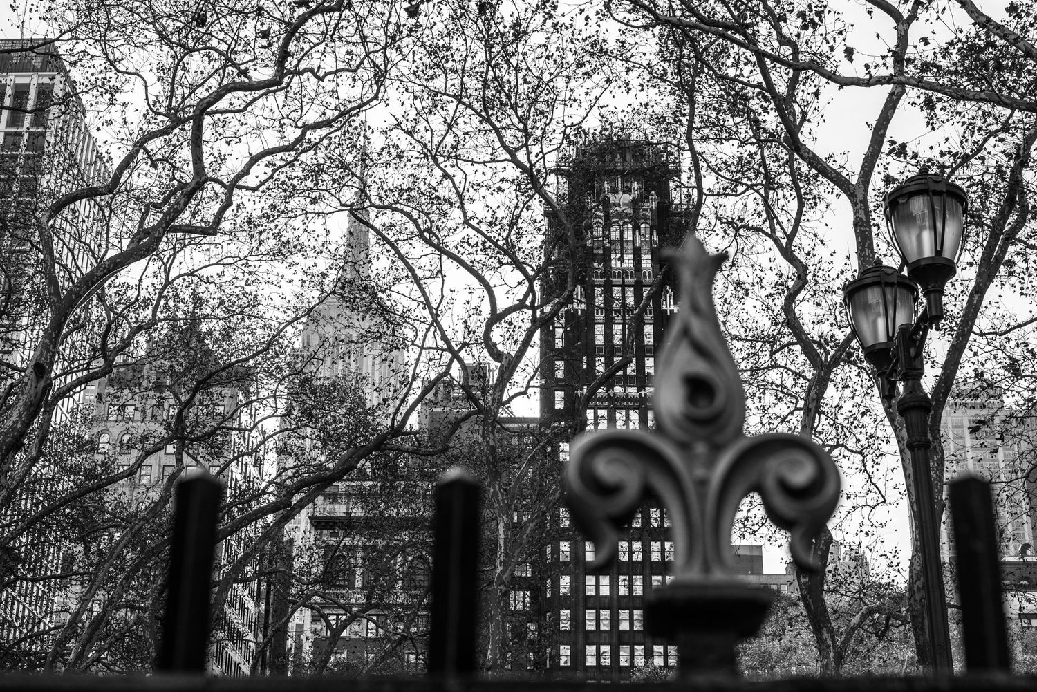 Empire State Building through the trees and gate of Bryant Park