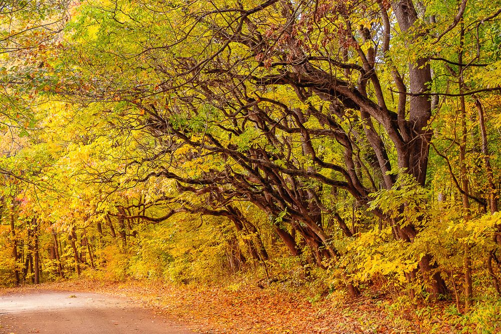fort-wayne-indiana-photographer-kris-gay-1039