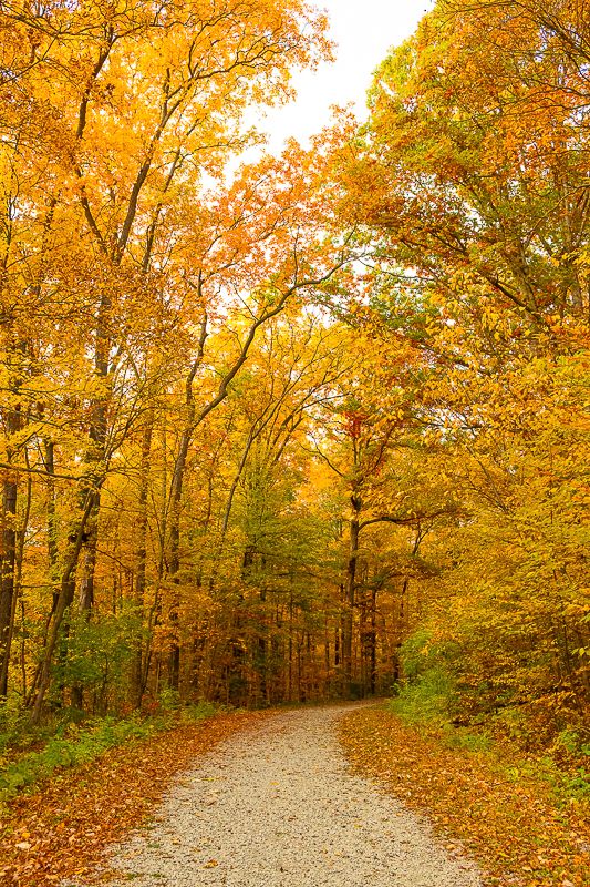 fort-wayne-indiana-photographer-kris-gay-1041