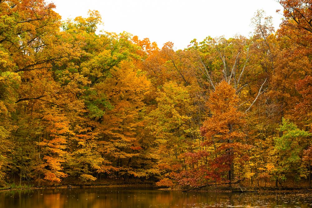 fort-wayne-indiana-photographer-kris-gay-1043