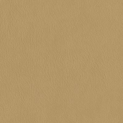 brown ochre distressed leather album colour swatch