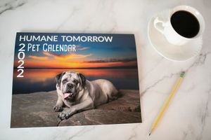 Humane Tomorrow 2022 Pet Calendar