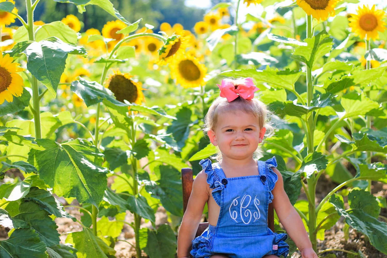 Raleigh Newborn Photographer