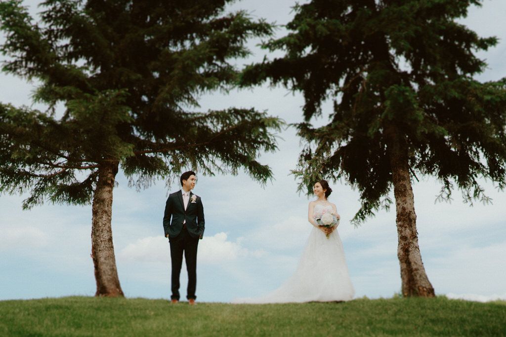 Wedding couple silhouetted against evergreen trees on a hilltop during golden hour.