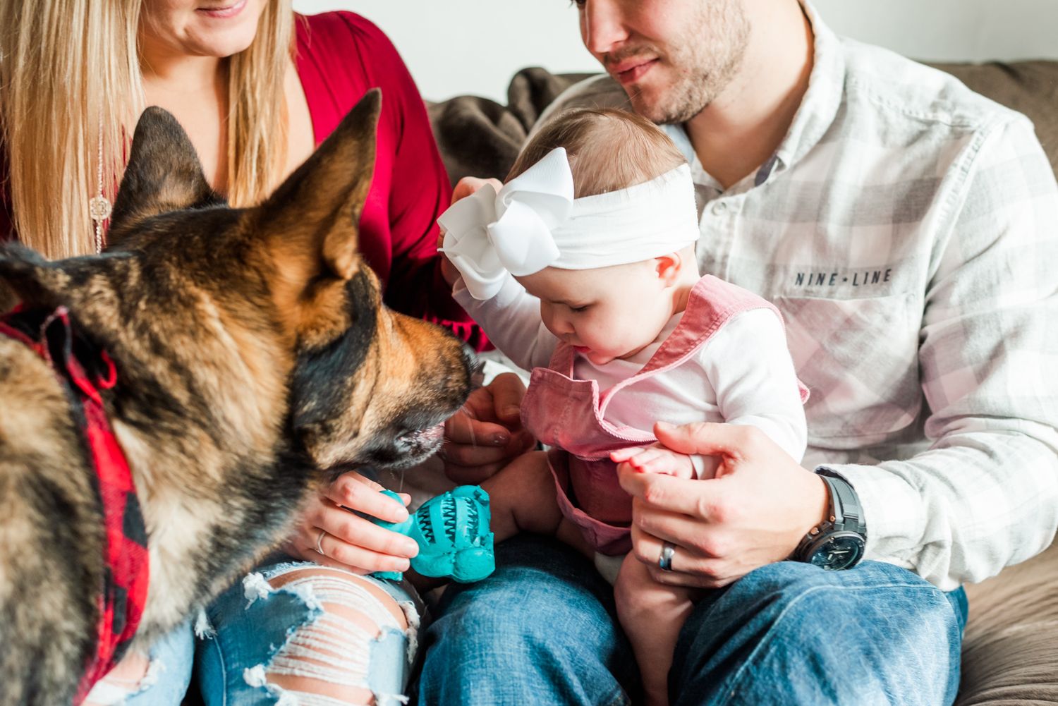 Lifestyle family photoshoot in the home with german shepherd sniffing baby wearing bow in Gibsonia, Pennsylvania