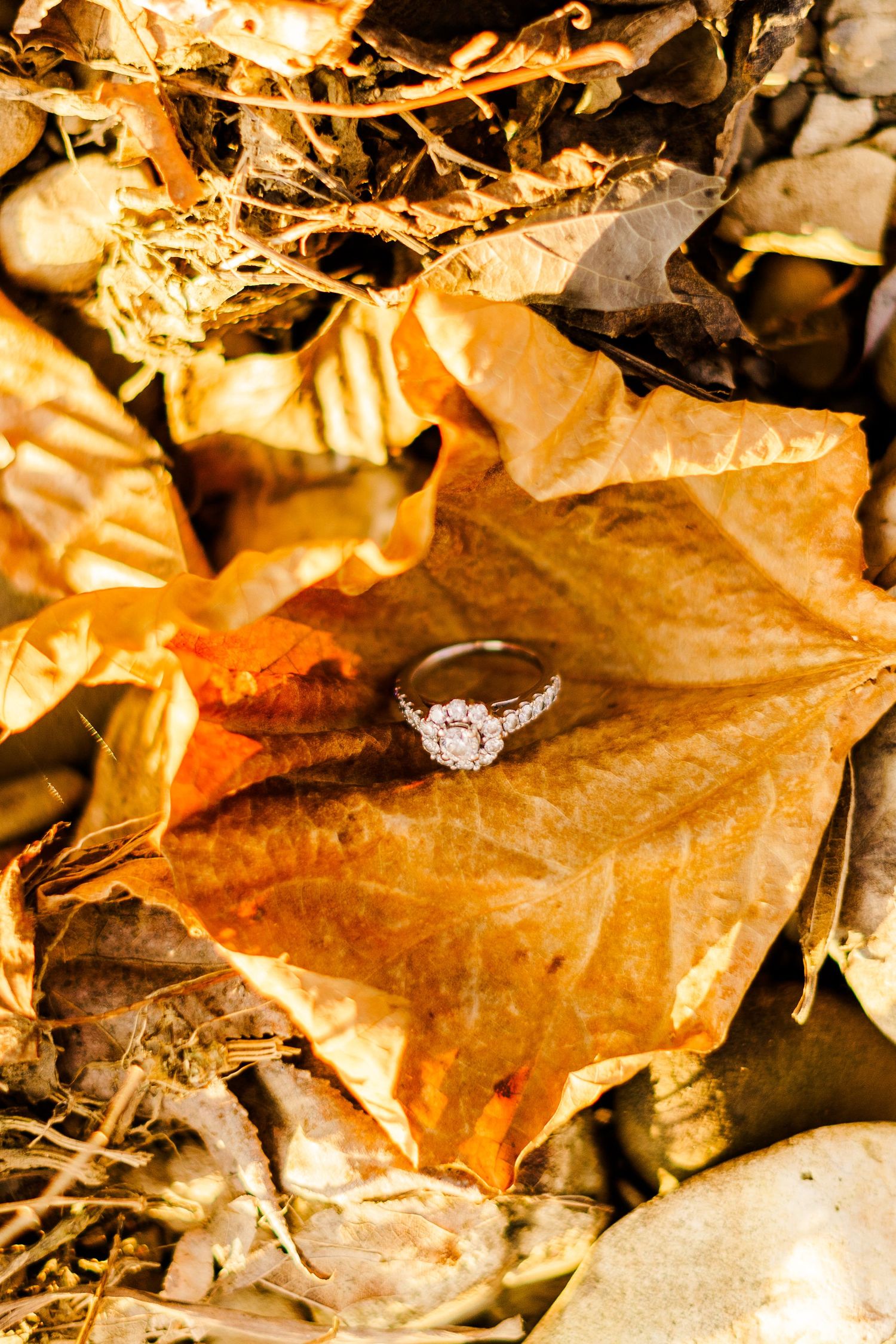 How to help your guy enjoy a photo session more, Arkansas Wedding Photographer, Samantha Welch, Welch Photography