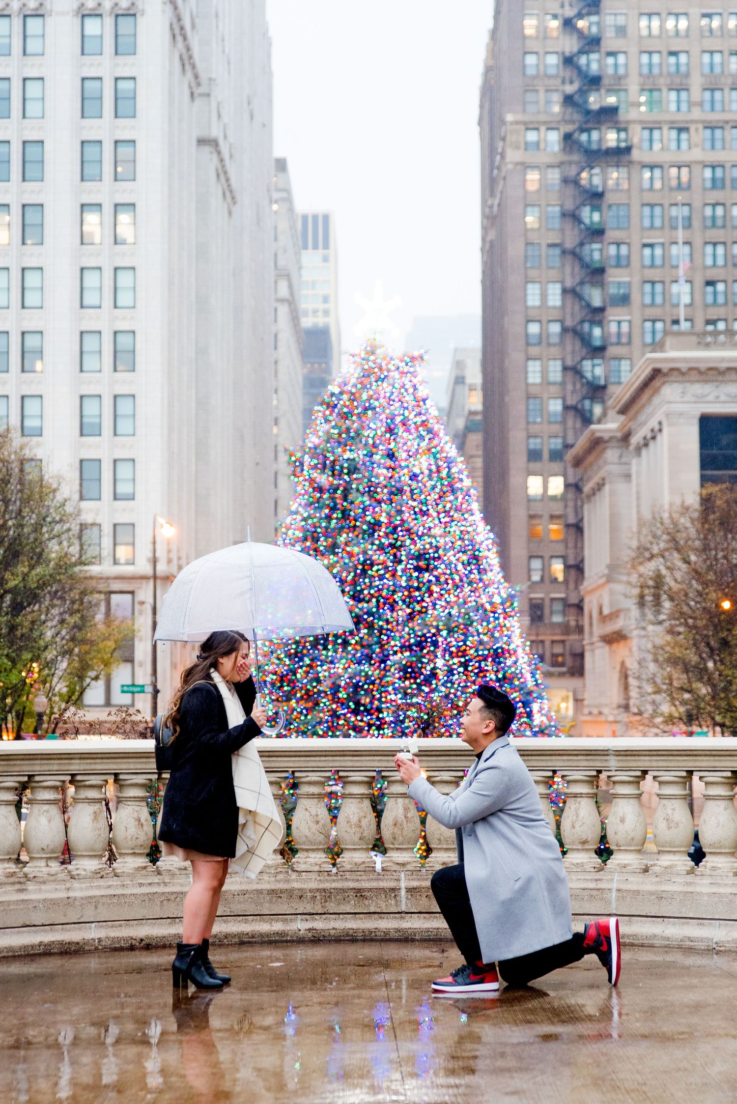 man in grey coat kneeling proposing to woman in black coat and clear umbrella in front of Millennium Park Christmas Tree