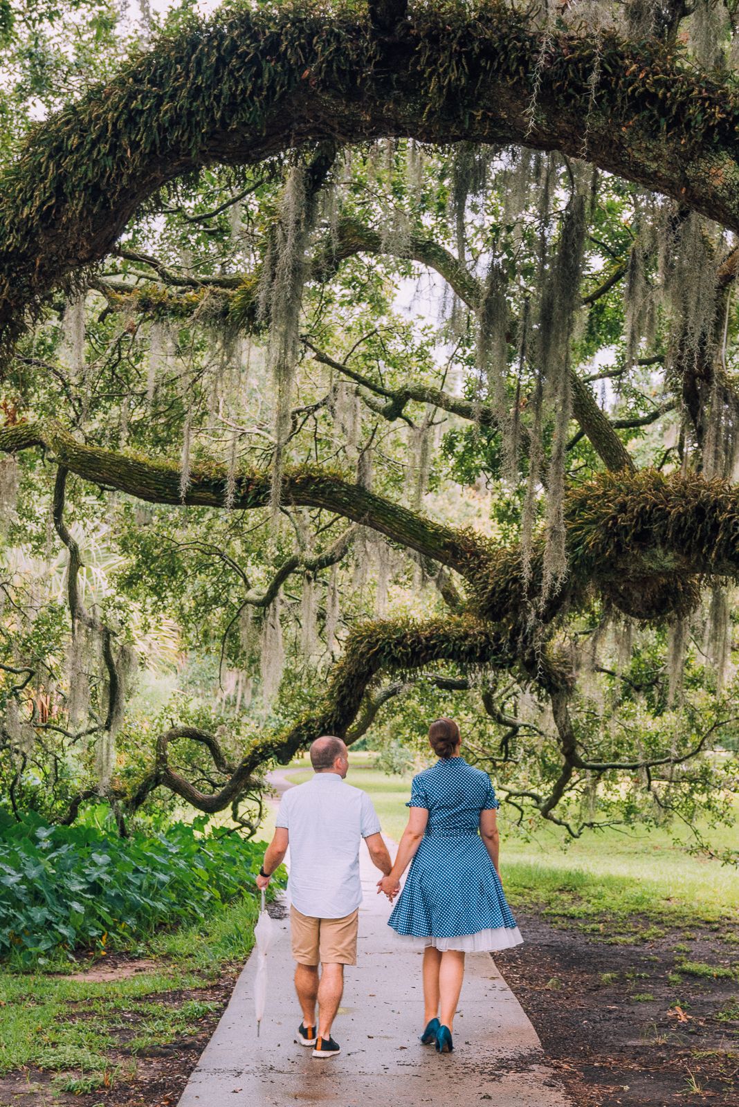 Newly engaged couple walking under huge oak tree