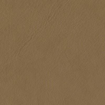cinnamon distressed leather album colour swatch