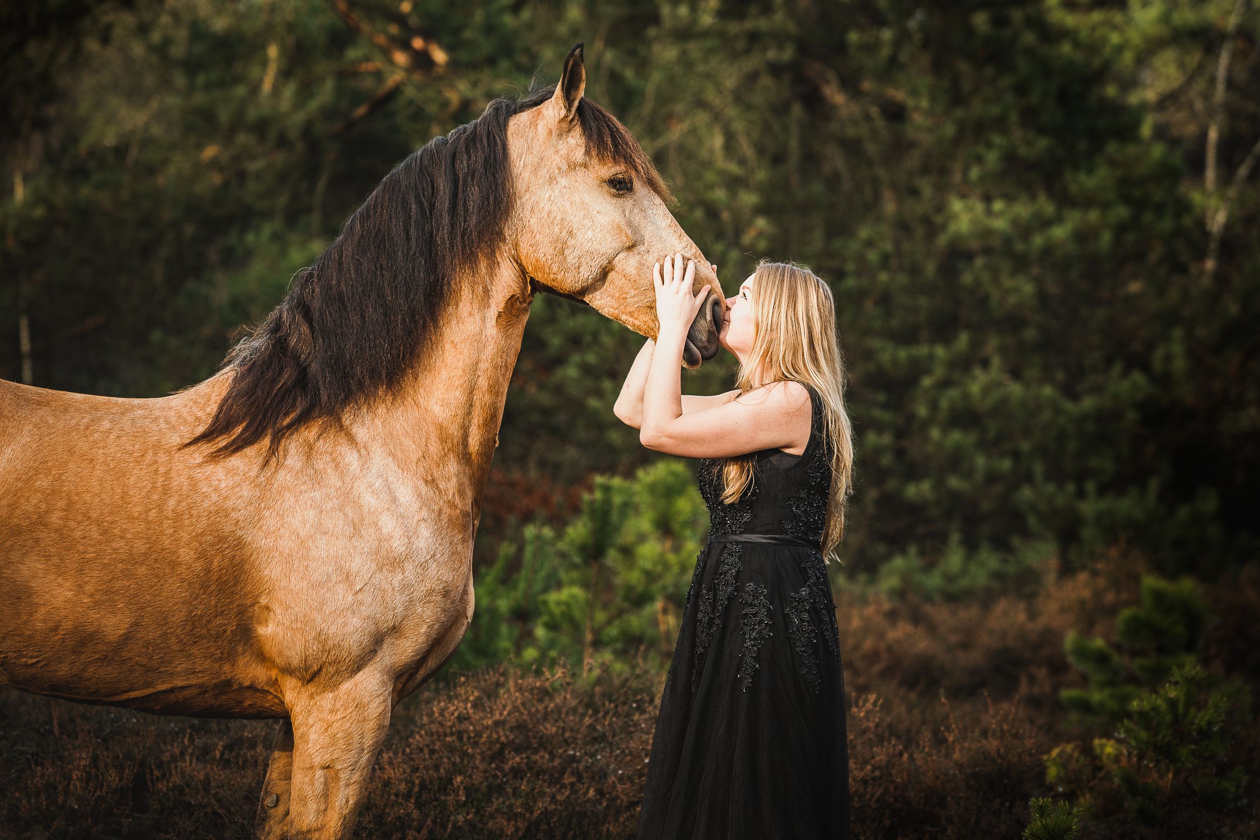 Paardenfotograaf Nederland