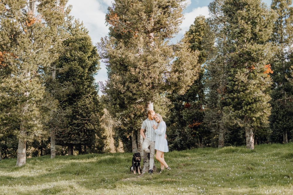 Couple walking their black dog through a serene forest path on a sunny day.