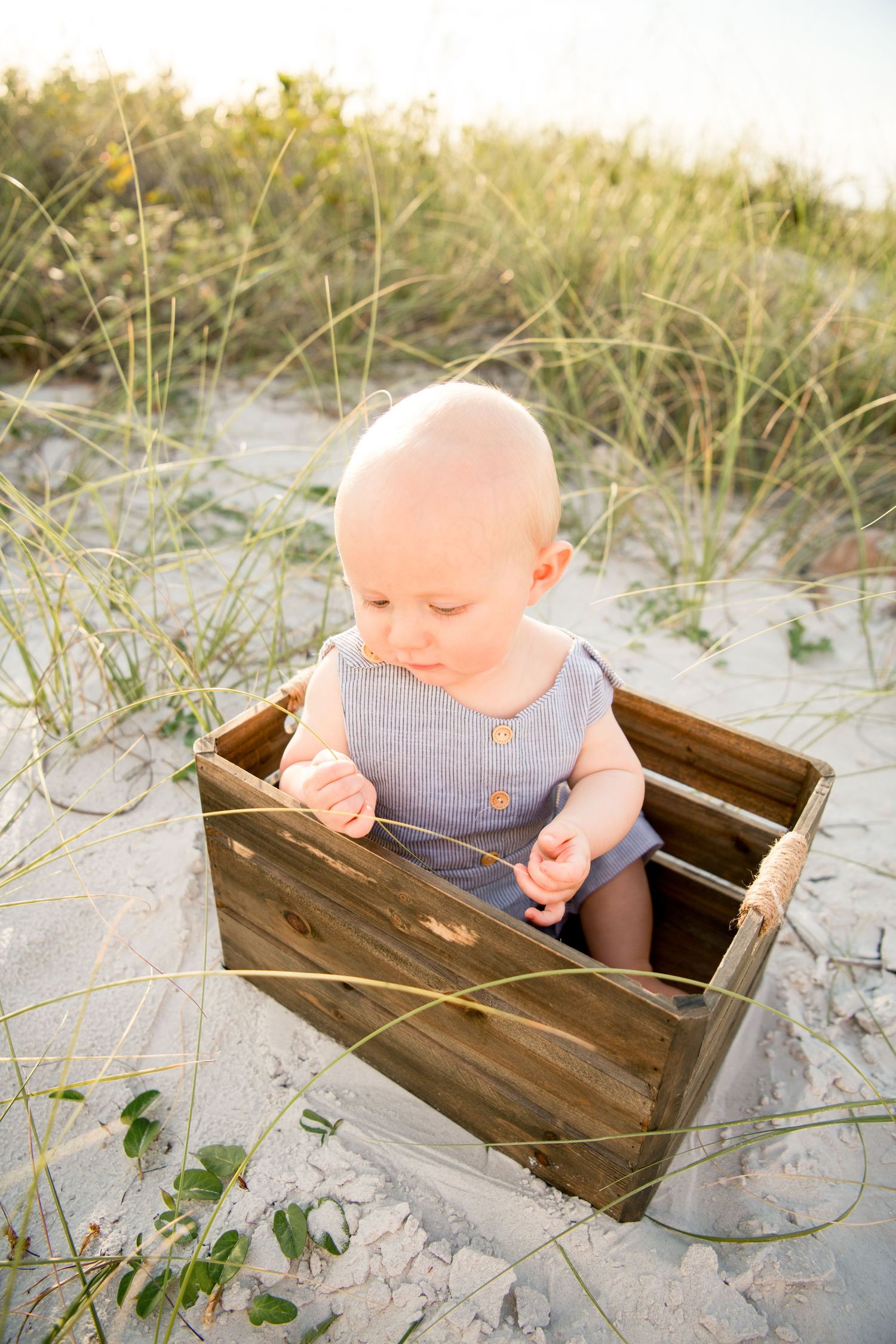 Honeymoon Island Beach photographer, Clearwater Beach photographer, Tampa beach photographer