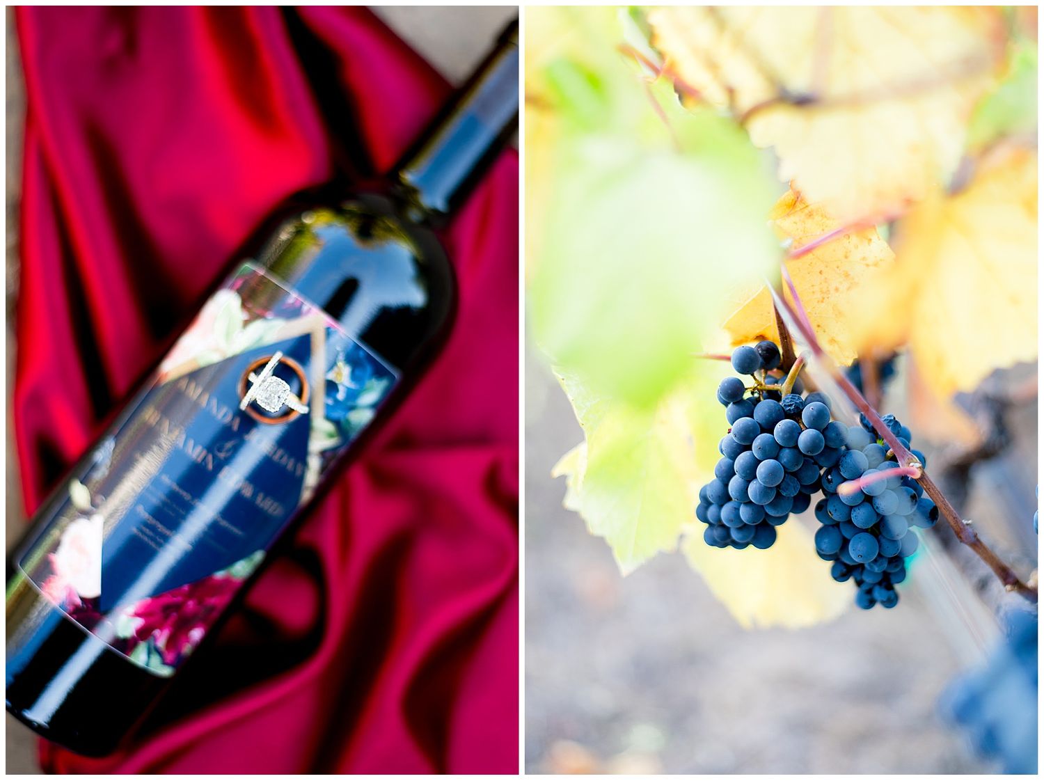 bottle of red wine with wedding label and cabernet grapes in a vineyard in Northern California