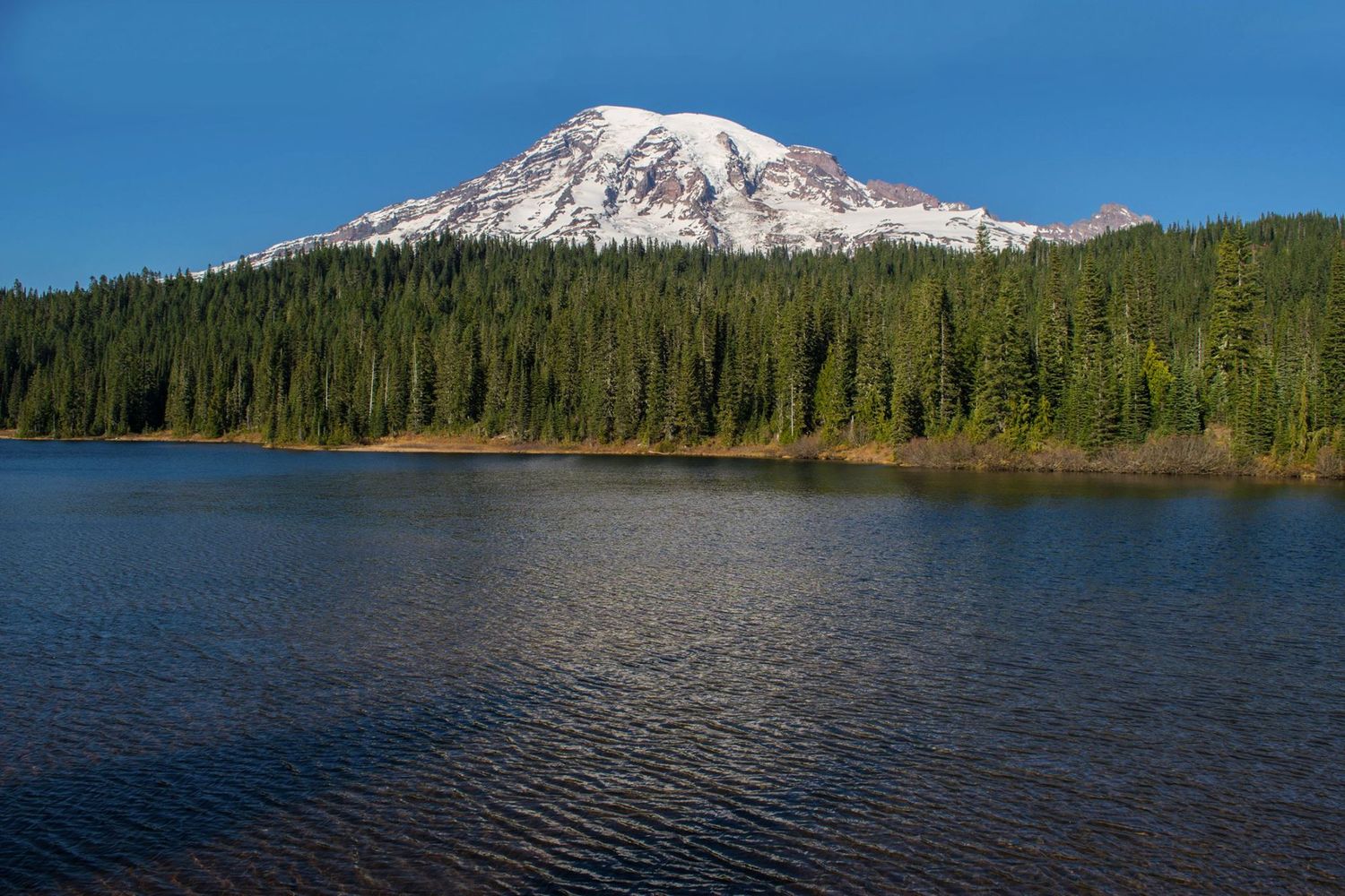 Mount Rainier reflects in a calm lake surrounded by evergreen forest.