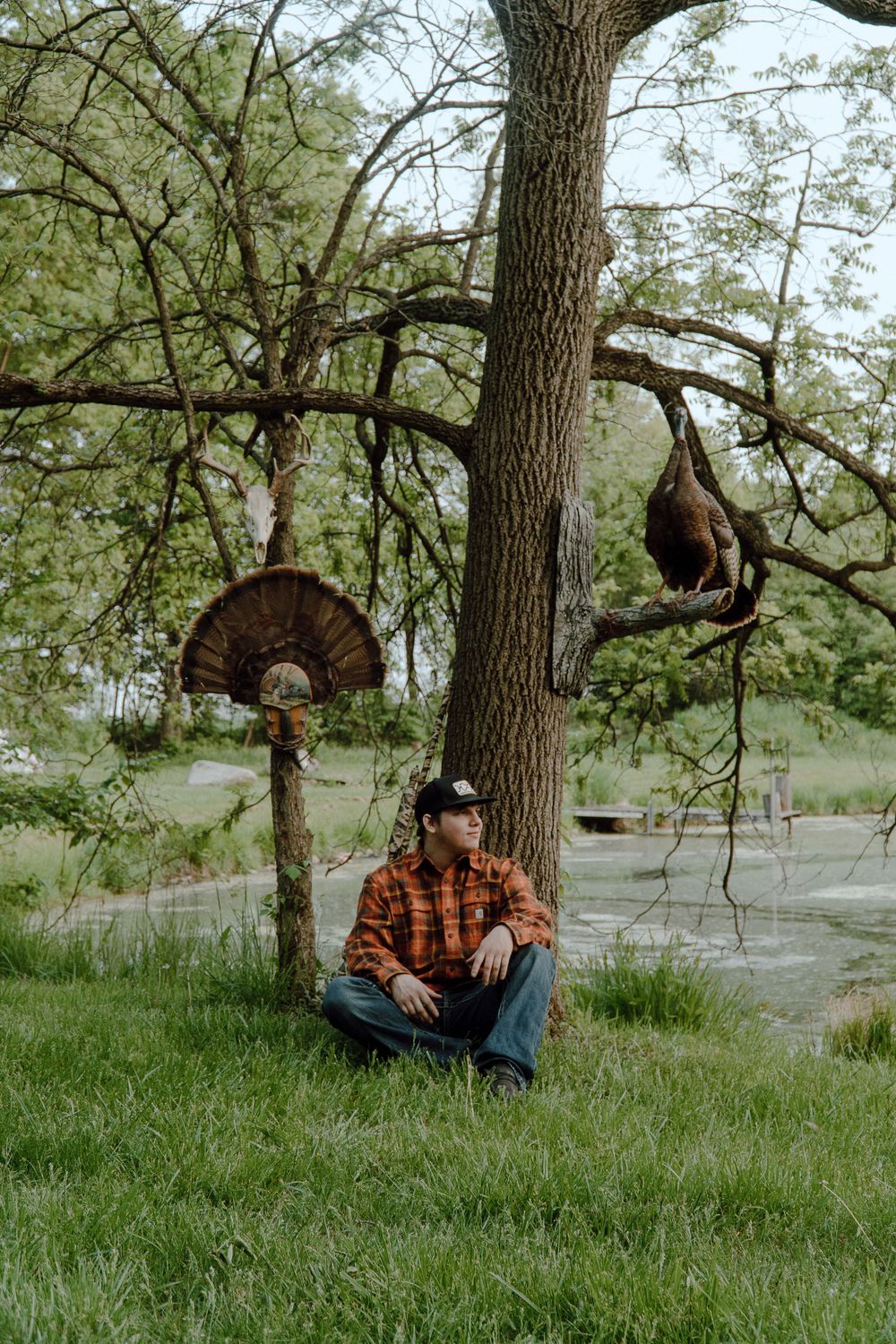 Person in flannel relaxes under mounted turkey tail fan display beside a tree.
