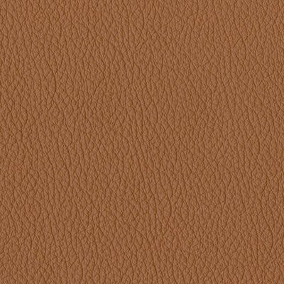 cappuccino original leather album colour swatch
