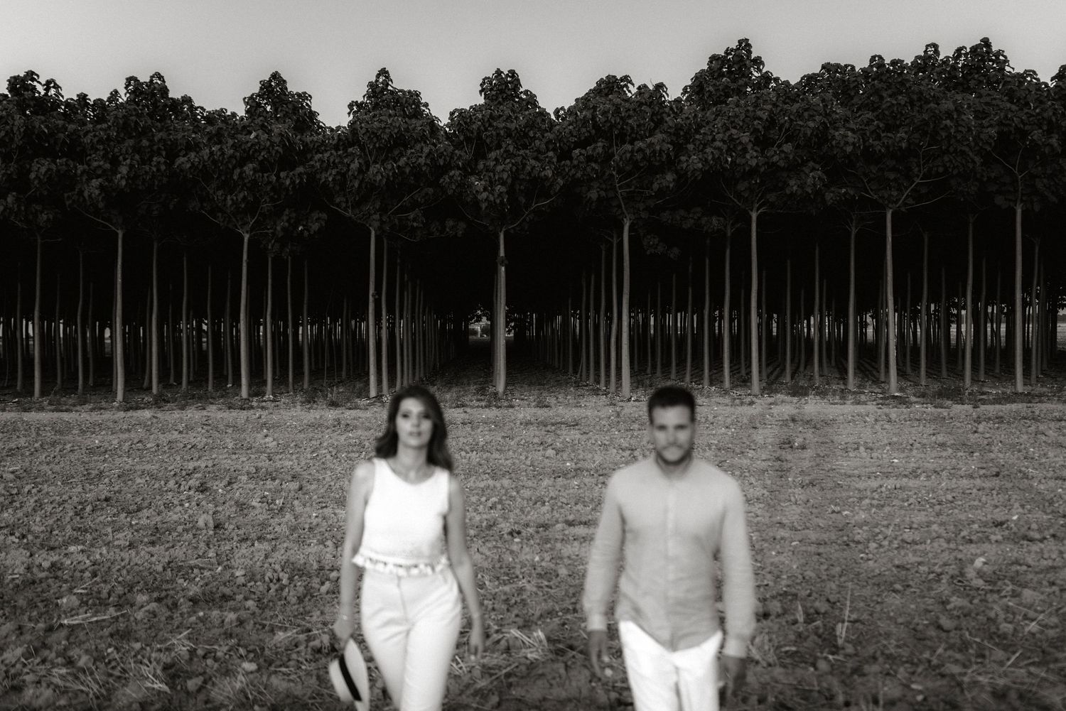 Puglia - couple - prematrimoniale - sessione di coppia - natura - bosco - piantagione di Paulonia - wedding photographer
